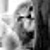 little_girl
