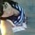 MFPrincess