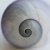 splintr