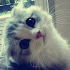 Anna_21