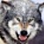 volk_andrey