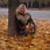 tanya_555