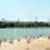 Obolon