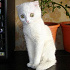 Franzisca