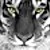 tiger_new