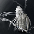 Undertaker15