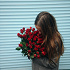 Catherine_Nutlet