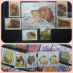 Отдается в дар «Почтовые марки Беларуси»