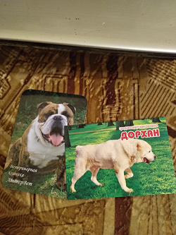 Отдается в дар «карманные календарики.собаки»