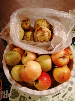 Отдается в дар «Ассорти яблоки и груши, 3 кг срочный дар»