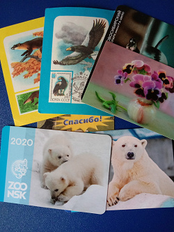 Отдается в дар «Календарики Новосибирского зоопарка»