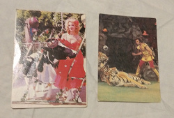 Отдается в дар «календарики «цирк»,1981 и 1982 г»