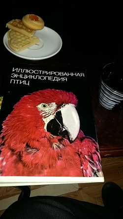 Отдается в дар «Энциклопедия птиц»