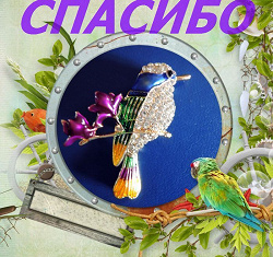 Отдается в дар «Брошь»