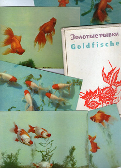 Отдается в дар «Открытки «Золотые рыбки». Китай»