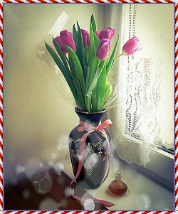 Отдается в дар «Тюльпаны розовые и красные (2 фото)»