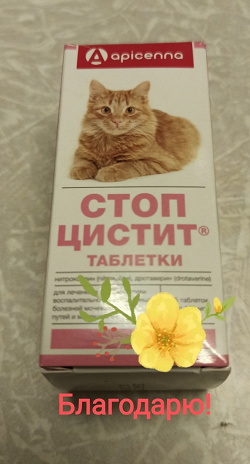 Отдается в дар «Таблетки для кошек»