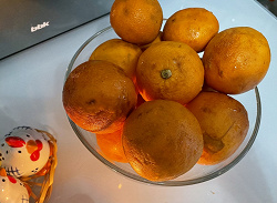 Отдается в дар «Мандаринки и апельсинки»