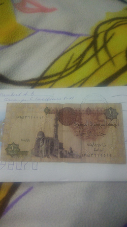 Отдается в дар «Египетские деньги.»