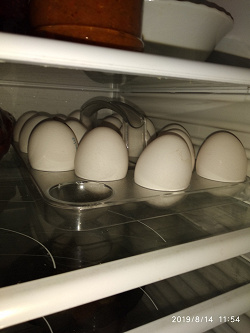 Отдается в дар «подставка для хранения яиц в холодильнике»