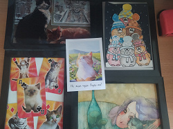 Отдается в дар «Мини-открытка с котом.»