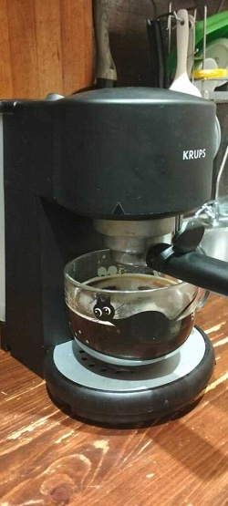 Отдается в дар «Кофеварка Krups type 880»