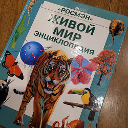 Отдается в дар «Энциклопедия детская»