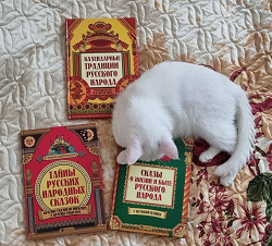 Отдается в дар «Книги»