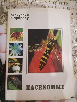 Отдается в дар «Открытки»