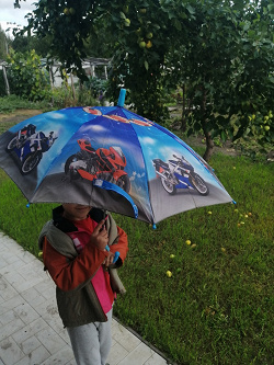 Отдается в дар «Зонтик детский»