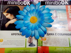Отдается в дар «книжки miniboOK»