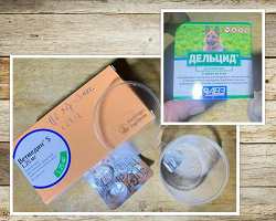 Отдается в дар «Ветеринарное»
