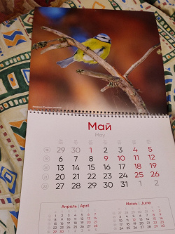 Отдается в дар «Настенный календарь»