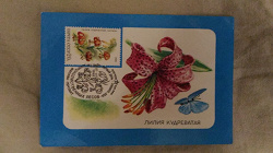 Отдается в дар «Календарики Цветы, 1987-1990гг»