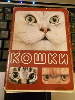 Отдается в дар «Набор открыток «Кошки»коллекционерам»