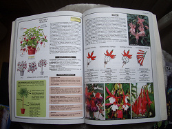 Отдается в дар «Книга: Все о комнатных растениях»