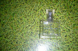 Отдается в дар «парфюмерная вода Perceive от Avon»