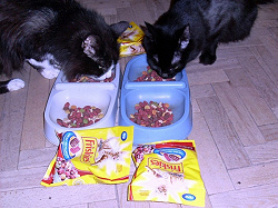 Отзыв за подарок Корм Friskies® для взрослых кошек — c мясом, печенью и овощами