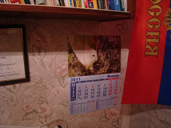 Отдается в дар «Календарь настенный на 2011 год»