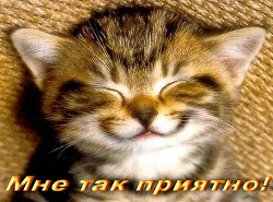 Отдается в дар «Пожилой холодильник «ПОЛЮС»»