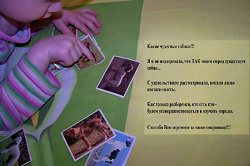 Отдается в дар «Наклейки собак 2»