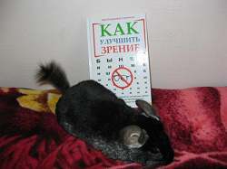 Отдается в дар «Книга «Как улучшить зрение»»
