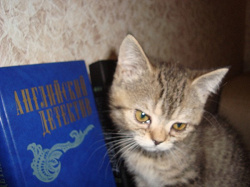 Отдается в дар «Книги.»