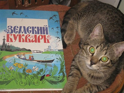 Отдается в дар «Книги (худ.лит.) и Земский букварь (на фото)»