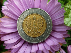 Отдается в дар «польские монеты»