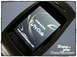 Отдается в дар «Телефон Samsung E500»