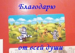 Отдается в дар «Магнитный дар»