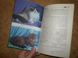 Отдается в дар «Книга о кошках»