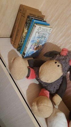 Отдается в дар «Книги о любви, романы — классика.»
