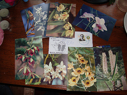 Отдается в дар «Набор открыток «Орхидеи»»